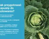Jak przygotować dania z kapusty? Instrukcja krok po kroku: obierz, przekrój, poszatkuj i wrzuć do gotującej wody.