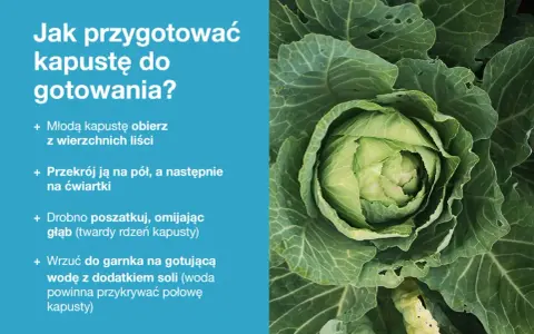 Jak przygotować dania z kapusty? Instrukcja krok po kroku: obierz, przekrój, poszatkuj i wrzuć do gotującej wody.