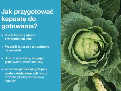 Jak przygotować dania z kapusty? Instrukcja krok po kroku: obierz, przekrój, poszatkuj i wrzuć do gotującej wody.