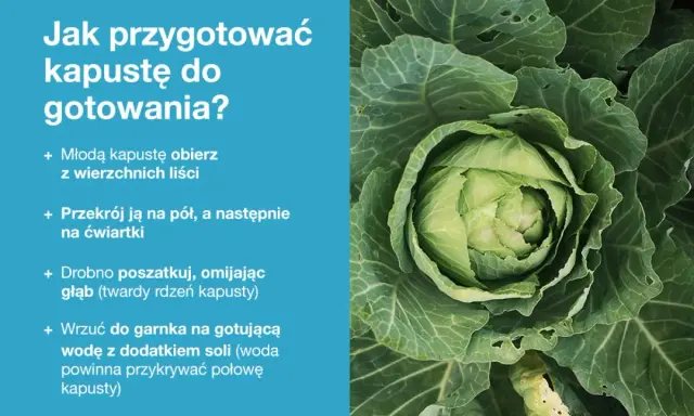 Jak przygotować dania z kapusty? Instrukcja krok po kroku: obierz, przekrój, poszatkuj i wrzuć do gotującej wody.